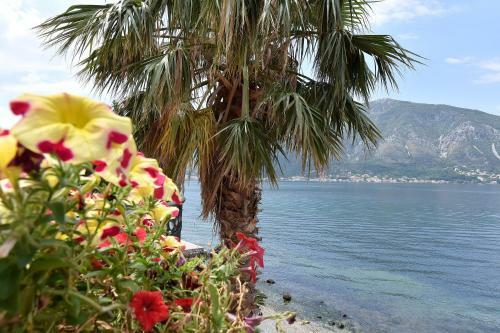 Apartamento Maniva Penthouse By The Sea