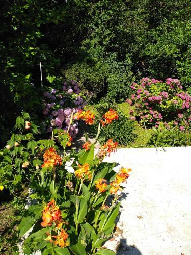 Flower Apartment