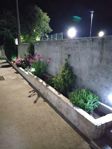 Flower Apartment