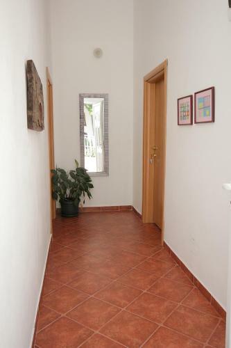 Apartments Aleksandar