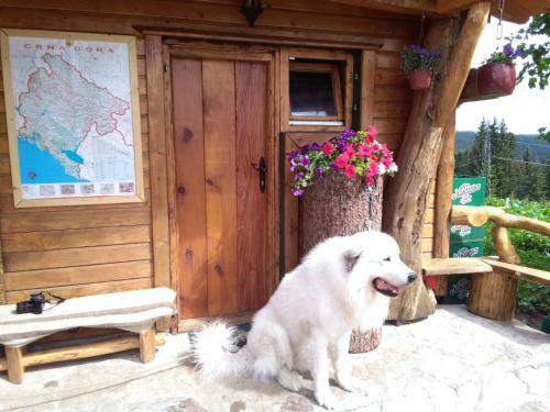 Hostal Guesthouse Planinarski Dom Nevi?en'o