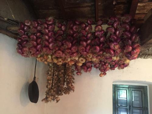 Posada Old House Nilovic