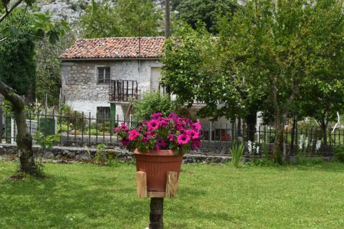 Posada Old House Nilovic
