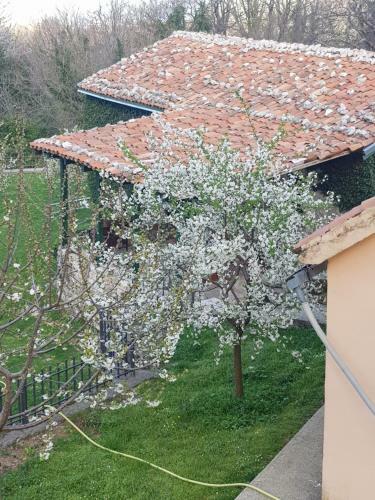 Posada Old House Nilovic