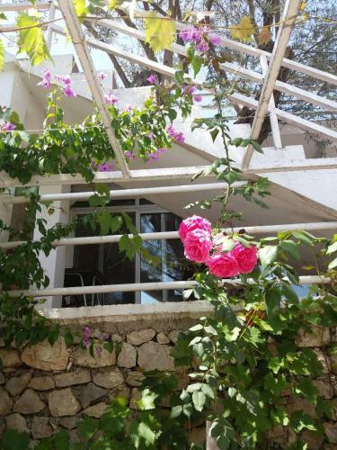 Hostal Apartments UNA