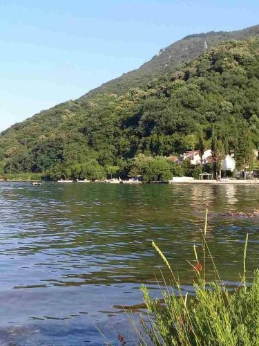 Apartmani Astra