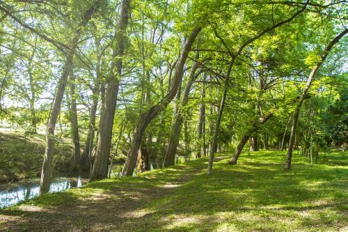 Hotel Ikaan Villa Spa