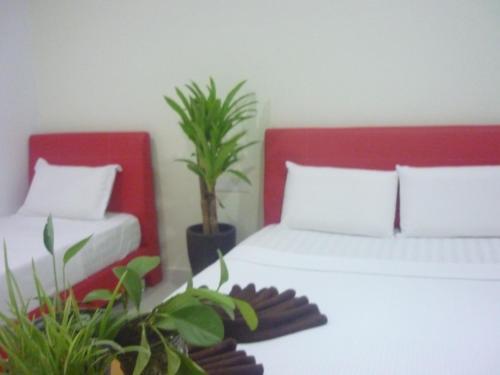 Hotel Paka Inn