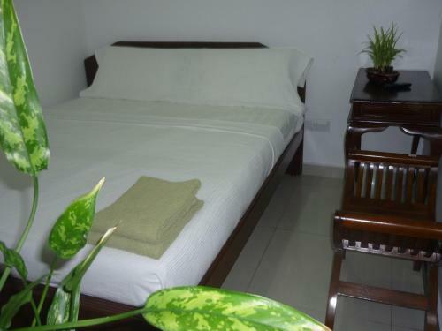 Hotel Paka Inn