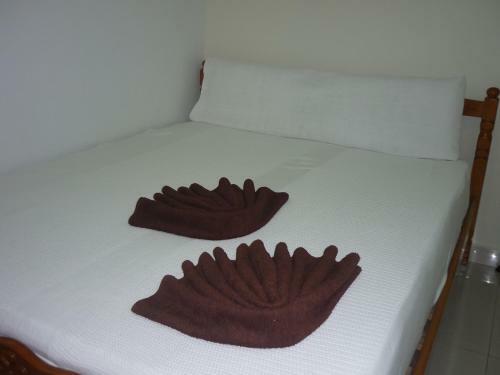 Hotel Paka Inn