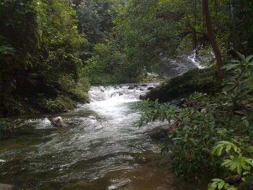 Pandan Beach Homestay