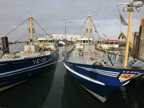 Water Resort Oosterschelde 2