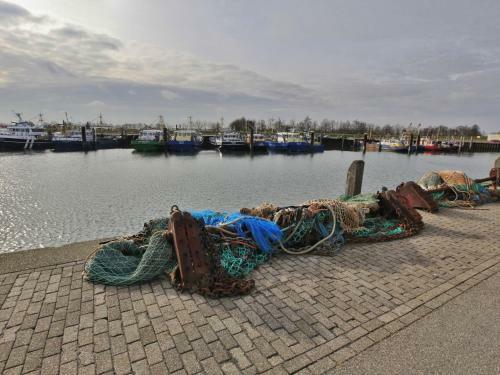 Water Resort Oosterschelde 2