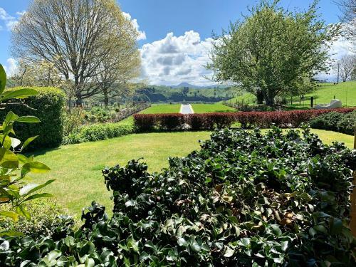 Bed & Breakfast Omaka Lodge