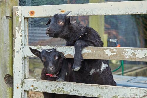 The Artists Retreat
