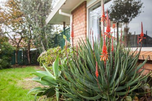 Contemporary And Spacious 3 Bedrooms In West Auckland