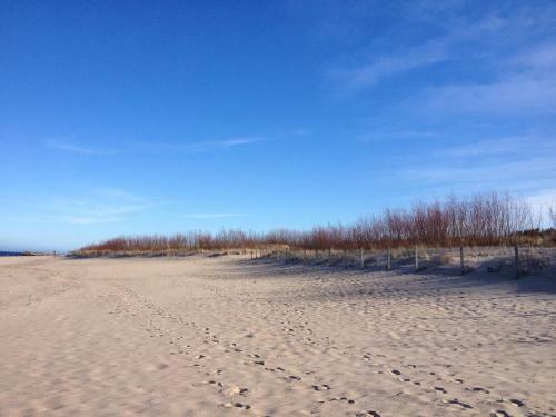 Apartament 33