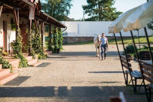 Hostal Nadwarcia?ski Dworek M?odzikowo