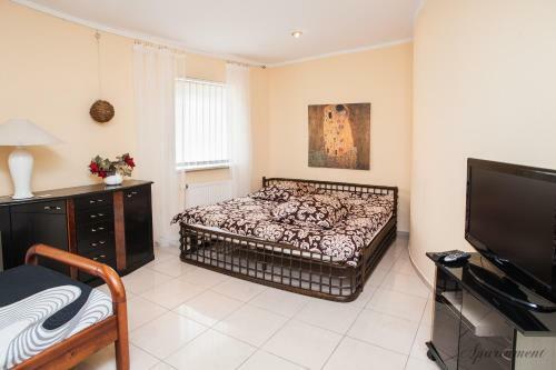 Apartamenty W?oc?awek