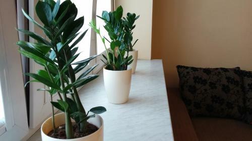 Warsaw Modlin 70m2 Apartment