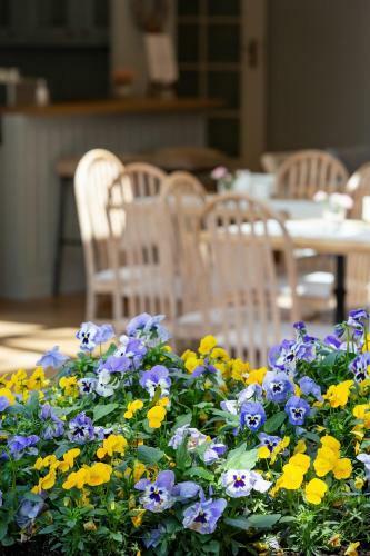Hostal Villa Sedina