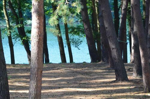 Hotel Zacisze Pl