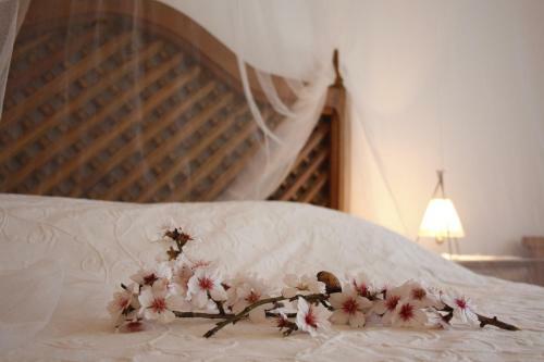 Bed & Breakfast Quinta Matias