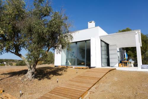 Villa Casa Singular | Concept House