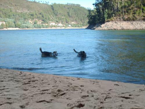 Apartamento Ch�o Da Lousa