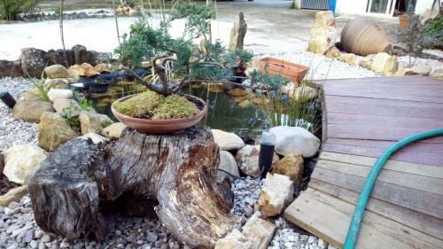 Apartamento Ch�o Da Lousa