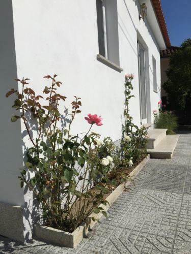 Casinha Da Vila