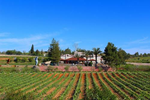 Agroturismo Quinta Dos Vales Wine Estate