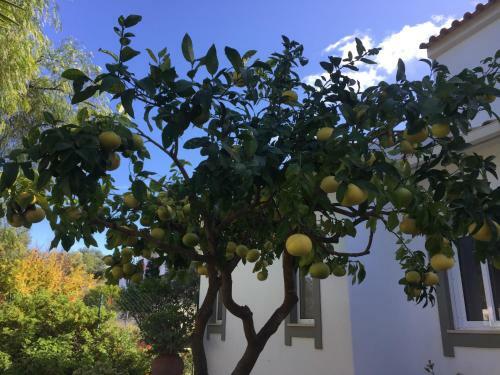 Bed & Breakfast Casa Ol�andro By Flo