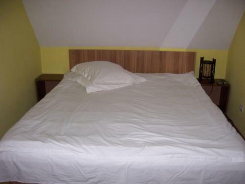 Hostal Pensiunea Roua Diminetilor