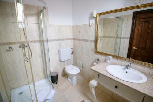 Hostal Vila Boierului