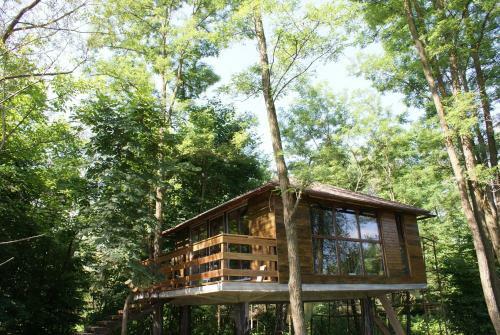 Porumbacu Treehouse