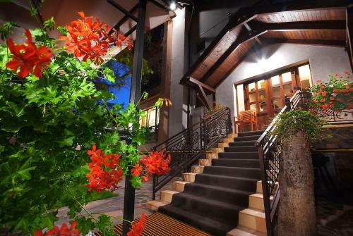 Hostal Vila Moldavia Class