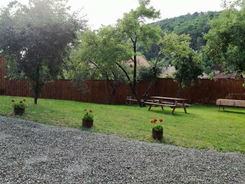 Hostal Boncz Udvar