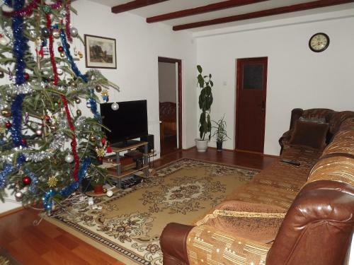 Hostal Casa Magnolia