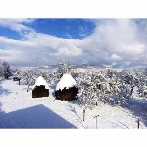 Hostal Pensiunea Martuca