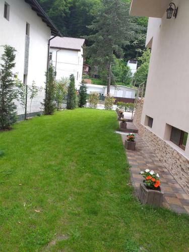 Hostal Pensiunea Ewe