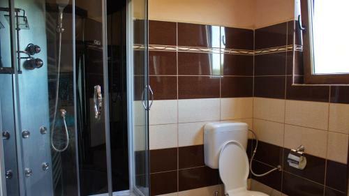 Hostal Acasa In Maramures