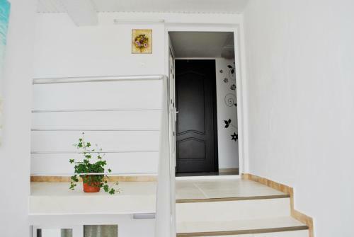 Hostal Casa Daniela