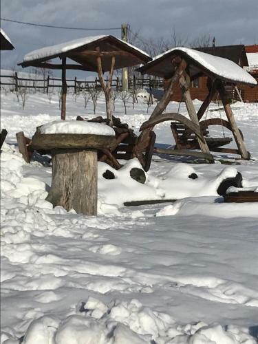 Agroturismo Pensiunea Cheile Apusenilor