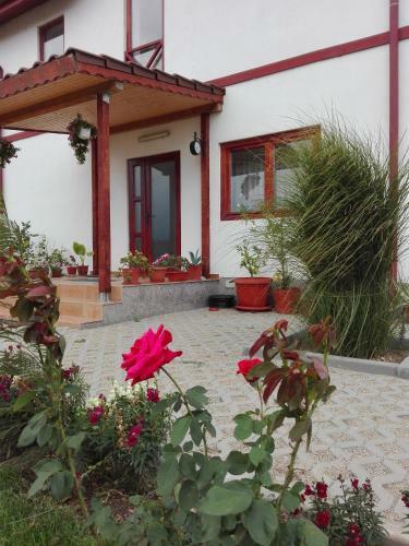 Hostal Pensiunea Simona