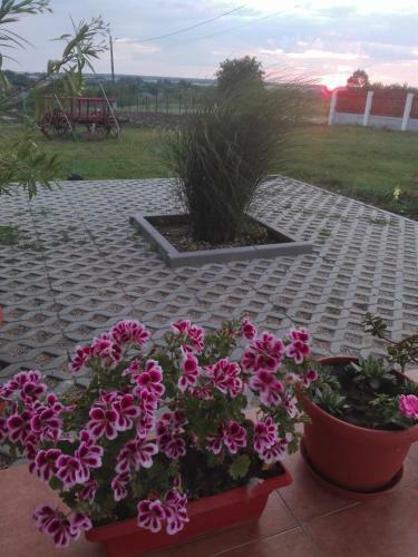 Hostal Pensiunea Simona