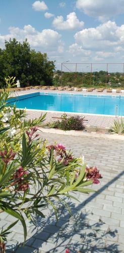 Hostal Pensiunea Simona
