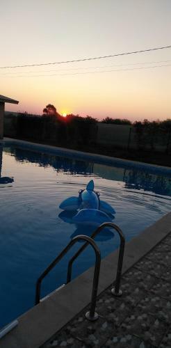 Hostal Pensiunea Simona