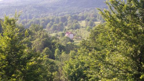 Hostal Casa Din Piatra