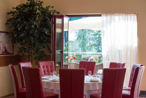 Hotel Nemira